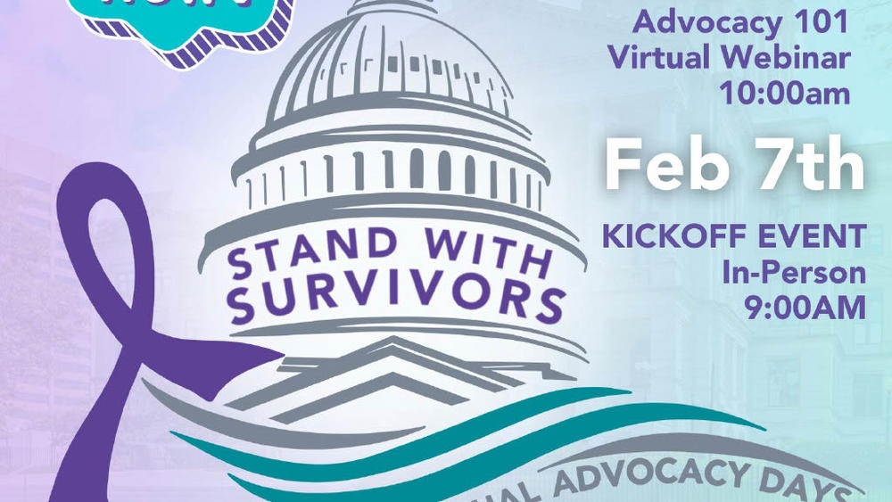 Advocacy 101 Webinar Stand With Survivors Day 2024 Georgia   SWSD2024 